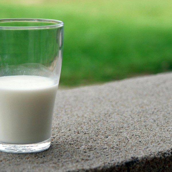 Online Seminar: Ern&auml;hrung von S&auml;uglingen