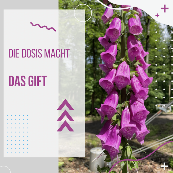 Toxikologie &ndash; Mehr als nur Drogen und Gifte